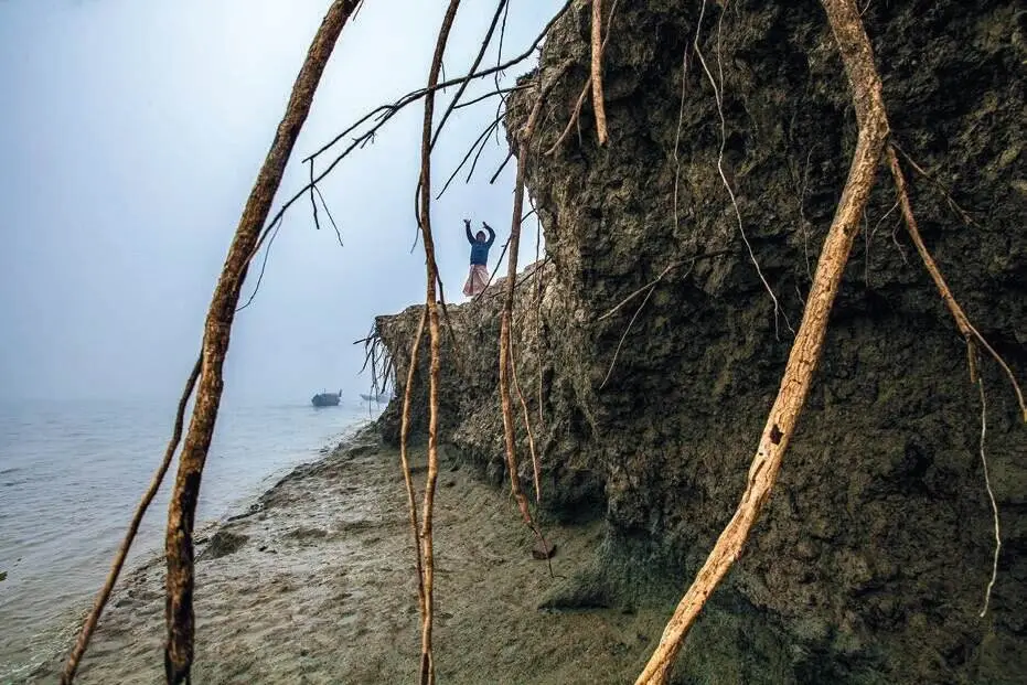 River erosion exposing tree roots on the shore