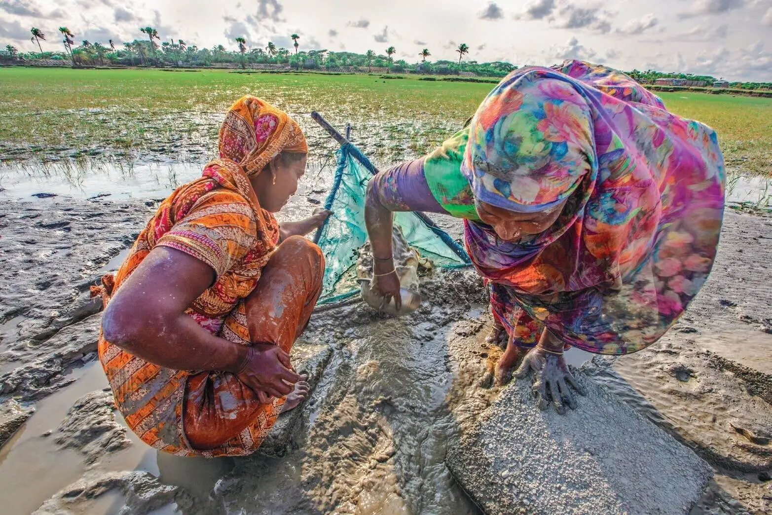 Women working on a coastal mudflat